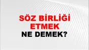 Söz Birliği Etmek