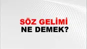 Söz Gelimi