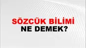 Sözcük Bilimi
