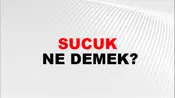Sucuk