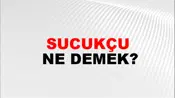 Sucukçu