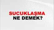 Sucuklaşma