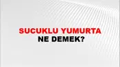 Sucuklu Yumurta