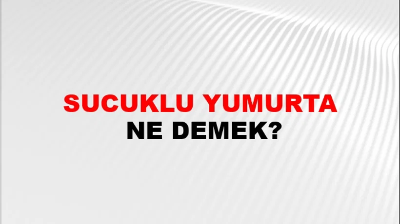 Sucuklu Yumurta Sucuklu Yumurta
