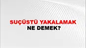 Suçüstü Yakalamak