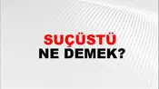 Suçüstü