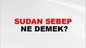 Sudan Sebep