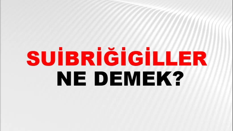 Suibriğigiller Suibriğigiller