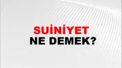Suiniyet