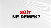 Süit