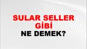 Sular Seller Gibi