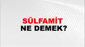 Sülfamit
