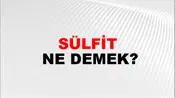 Sülfit