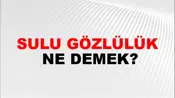 Sulu Gözlülük