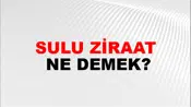 Sulu Ziraat