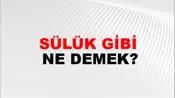 Sülük Gibi