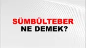 Sümbülteber