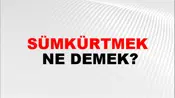 Sümkürtmek