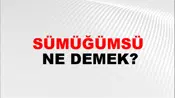 Sümüğümsü