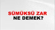 Sümüksü Zar