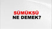 Sümüksü