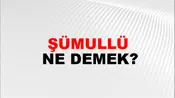 Şümullü