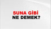 Suna Gibi