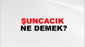 Şuncacık