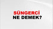 Süngerci