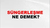 Süngerleşme