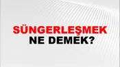Süngerleşmek