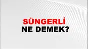 Süngerli