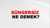 Süngersiz