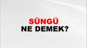 Süngü