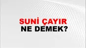 Suni Çayır
