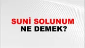 Suni Solunum
