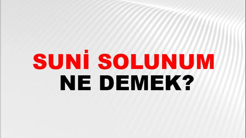 Suni Solunum Suni Solunum