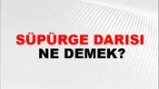 Süpürge Darısı
