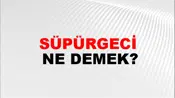 Süpürgeci