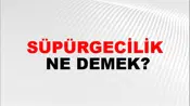 Süpürgecilik