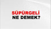 Süpürgeli