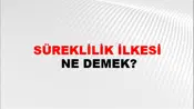 Süreklilik İlkesi