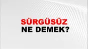 Sürgüsüz