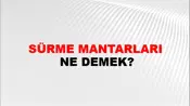 Sürme Mantarları
