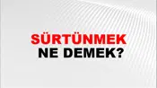 Sürtünmek