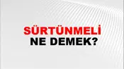 Sürtünmeli