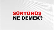 Sürtünüş