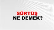 Sürtüş