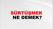 Sürtüşmek