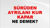 Sürüden Ayrılanı Kurt Kapar